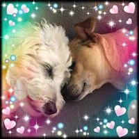 Marlies R. image