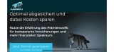 Wolff & Kollegen | der-praemienwolf.de Neuwied